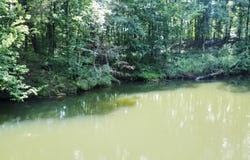 0 Orlea Ln, Tuscaloosa, AL 35475