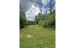 4711 Caneyville Road, Morgantown, KY 42261
