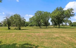 713 E Peel Street, Pilot Point, TX 76258