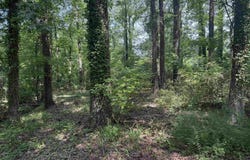 000 NE Third Street, Bryant, AR 72022