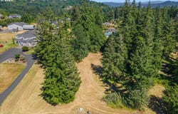 165 SATURN AVE, Woodland, WA 98674