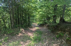 9999 State Highway 649, Olive Hill, KY 41164