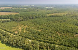 28.6 Acres Fountaintown Road, Beulaville, NC 28518