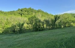 Byrd's Creek Valley Dr. Road, Blue River, WI 53518