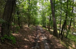000 Long Gum  LN, Russellville, AR 72802