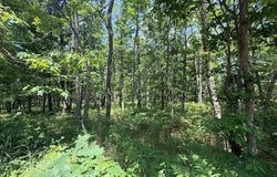 Vl Cleveland Drive, Bitely, MI 49309