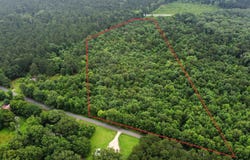 mt Olive Road, Arkadelphia, AR 71923