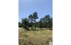 40 Acres PR 1187, Texarkana, AR 71854