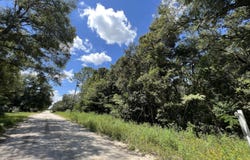 NE 157 Avenue, Williston, FL 32696