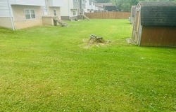 1524 East 9th Street, Moundsville, WV 26041
