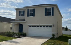 3009 TANSY STREET, TAVARES, FL 32778