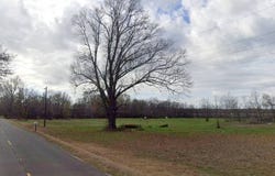 1924 Highway 583, Rayville, LA 71269