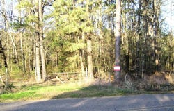 TBD LR 29, Ashdown, AR 71822