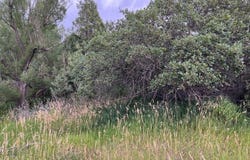 Barry Court, Colorado City, CO 81019