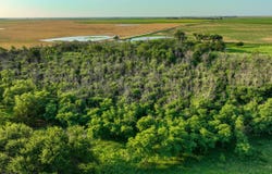 00000 G Road, Haviland, KS 67059