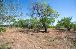 Tbd County Rd 171 RD, Nixon, TX 78140