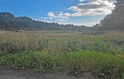 California Ave, CoosBay, OR 97420