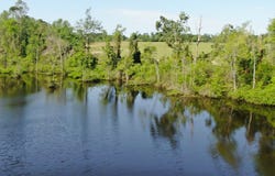00 RE Young Road, Wray, GA 31798