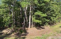 54 Alava Way, Hot Springs Village, AR 71909