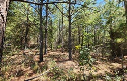 2  TBD Poteau Mountain, Heavener, OK 74937