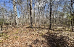 Smith Hall Rd, Jamestown, TN 38556