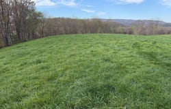 1999 Snake Run Rd, Alderson, WV 24910