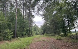 301 Freeman Road, Summit, MS 39666