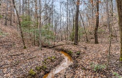 County rd 12, Carrollton, AL 35447
