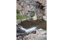 439 Redtail Ridge Way, Bellvue, CO 80512