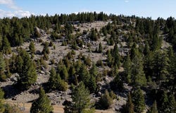 Grace Road, Butte, MT 59701