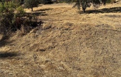 850 Adams Street, Lakeport, CA 95453