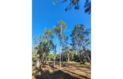 2332 MITCHELL ISLAND ROAD, DELTONA, FL 32738