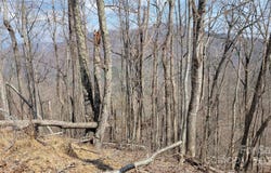 Joslin Lane, Burnsville, NC 28714