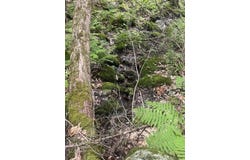 307 Spruce Pond Road, Lexington Twp, ME 04961