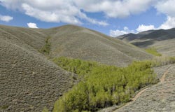 Lees Gulch Rd, Bellevue, ID 83313