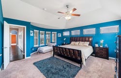 2202 Nuehoff Drive, Anna, TX 75409