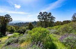 6691 Thorndale Drive, Oakland, CA 94611