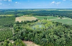 895 Pearson Road, Sylvester, GA 31791