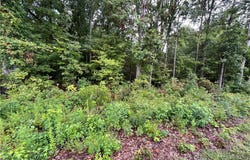 Dogwood Circle, Clinton, SC 29325