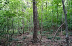 220 Austin Lane, Stokesdale, NC 27357