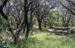 Pr 1032 TX-P7 #2, Meridian, TX 76665