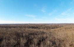 State Highway 137, Willow Springs, MO 65793