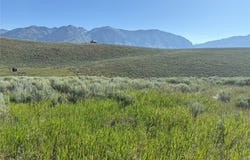 Madison River Ranches Lot 21, Cameron, MT 59720