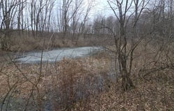 0WP Bowbell Rd, Coventry, NY 13778