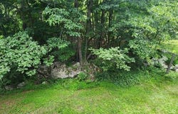 28 Lakeside Dr NW, Vernon Twp., NJ 07461-4381