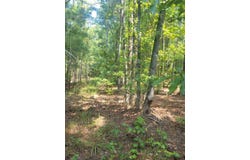 0 BUMPUS Road, Appling, GA 30802