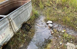 343 Nye Cemetery Rd, Fishtail, MT 59028