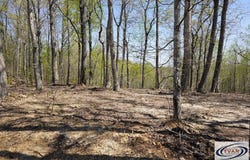 1 Highway 232, STEWART, TN 37175