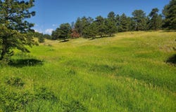 4444 Sunshine Canyon Dr, Boulder, CO 80302