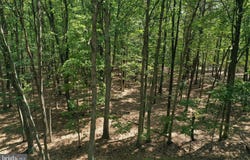 WALNUT RIDGE Road, OLDTOWN, MD 21555